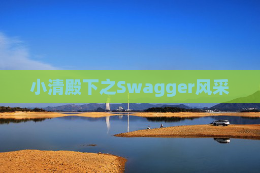 小清殿下之Swagger风采
